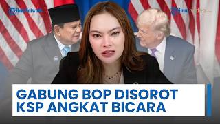 KSP Bersuara soal Tudingan Pemerintah Gabung BoP Tanpa DPR, Ultha Nababan: Tidak Harus Berkonsultasi