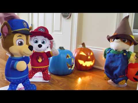 Paw Patrol बच्चों के लिए हेलोवीन वीडियो!