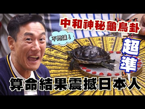 鄭老師(龜鳥伯)命理服務處 評論