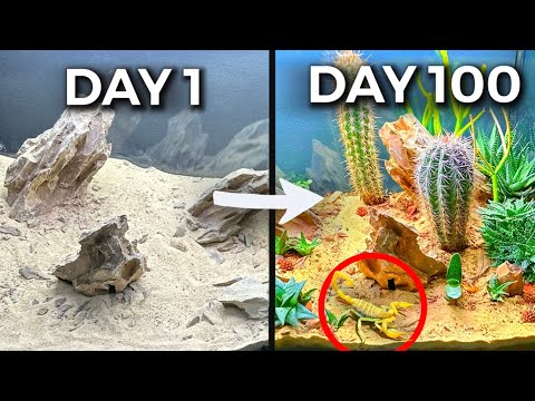 Simulating the Desert for 100 Days