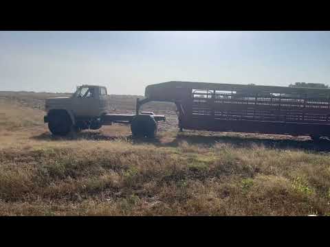 1985 CHEVROLET C70 For Sale