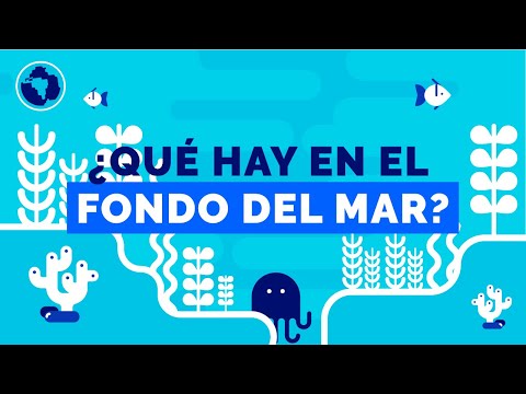 The mysteries under the depths of the ocean