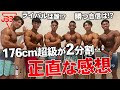 【JBBF176cm超級が分割…】現役チャンピオンの正直な感想。