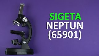 Sigeta Neptun - відео 1