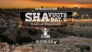 https://www.youtube.com/embed/wis976wJ-gU