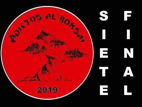 BONSAI / Bonsái PARA PRINCIPIANTES CURSO / EXPOSICIÓN ASOCIACIÓN ADICTOS AL BONSAI 2019 7 FINAL 盆栽展