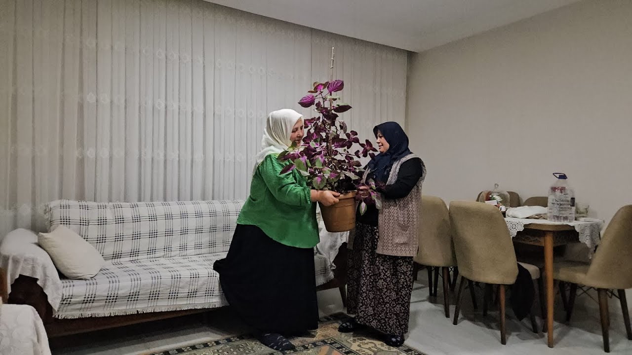 KUZENİM BENİ ÇİÇEKLE KARŞILADI 🥰