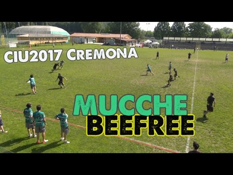 CIU2017 (T4) - Mucche vs BeeFree