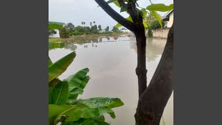 Download lagu Hadirmu Adalah Anugerah mp3