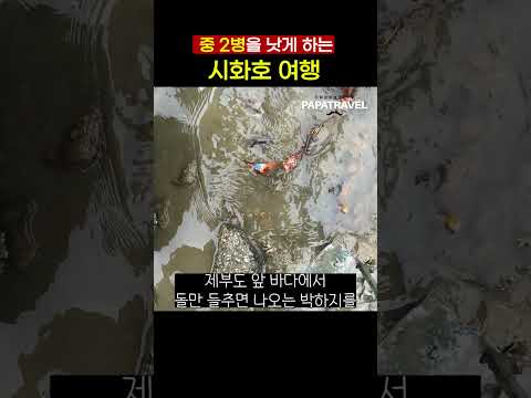 시화와 방조재 일대를 새롭게 즐기는 방법: 생태, 과학, 환경 중심의 추천 여행지