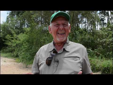 IDJWI UN CARREFOUR DU TOURISMRE DES GRANDS-LACS