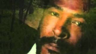 Marvin Gaye - I Won't Cry Anymore (Alternate Version)