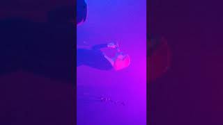 Not Today Satan - Molly Nilsson _ Live in SF 2018