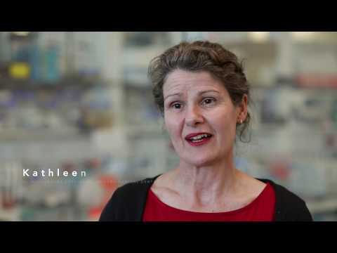Scleroderma Victoria Clincal Nurse Specialist Interview - Kathleen