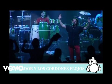 Salvador Y Los Cordones Flojos video