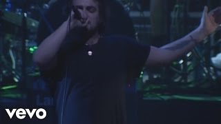 Salvador y los Cordones Flojos Lyrics English Translation