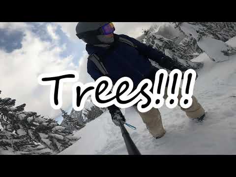 20210227 Into trees by accident @ Stevens Pass
