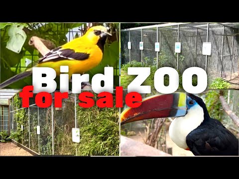 , title : 'Largest Bird ZOO in Northern Europe | Aviary Birds | S2:Ep12'