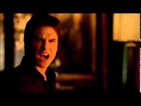 Damon und Elena - die Liebeserklärung