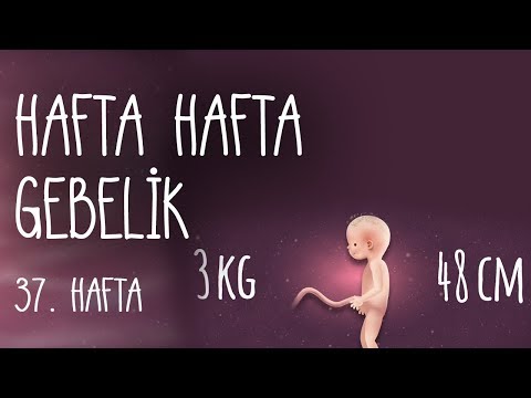 Hafta Hafta Gebelik 37. hafta