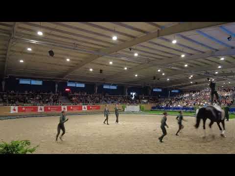 Norka Automation VV Köln Dünnwald freestyle