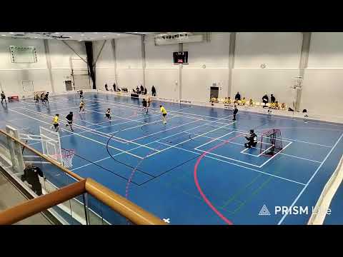 LA Kings vs SaiPa p15