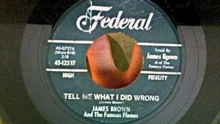 James Brown - Tell Me What I Did Wrong 45 rpm!