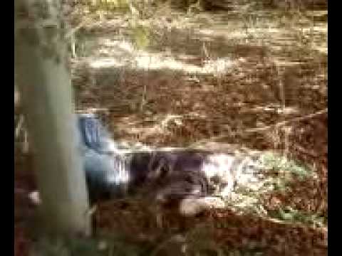 Grabis  Adventures 3