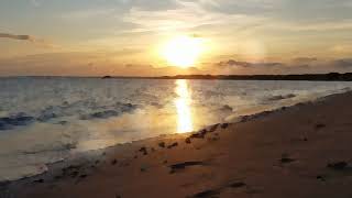 Catherine Wheel - Fripp