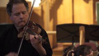 Victor Romanul plays Vivaldi's Concerto No. 1 (Spring) - III. Allegro pastorale