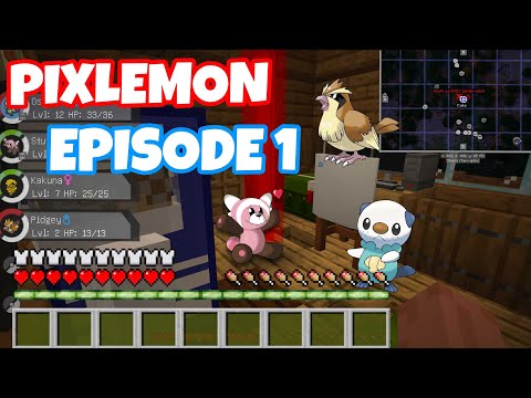 pixelmon kronos Ep 1 | begginers luck