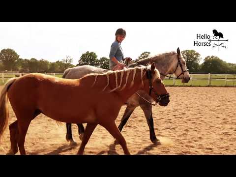 MUSTANG MAKEOVER Team Christina (TAG 3879) - Update 3