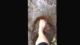 Walking the Camino barefoot in the rain.