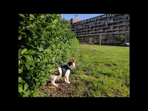 No big predators around. Time to explore!