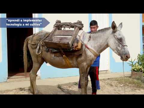 Caso de exito Kiosco Vive digital en La Quitaz, Santander