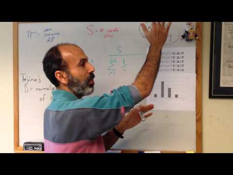 Explanation of Tajima's D, a statistic used in molecular evolution studies of DNA sequences