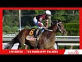Epicenter - 2022 - The Runhappy Travers