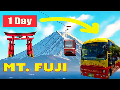 🚌 Iconic Bus Tour Around Mount FUJI 🇯🇵 | Japan's Most Amazing Views!