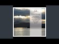 Piano Concerto, No. 2: I. Andante appassionato
