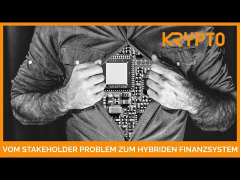 VOM STAKEHOLDER PROBLEM ZUM HYBRIDEN FINANZSYSTEM