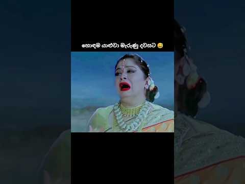 ඔයාගේ හොඳම යාළුවා කවුද? 👀❤️