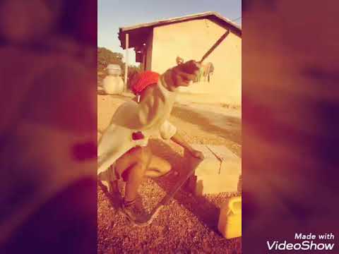 Amed Chenet Démo et ommage a ébony