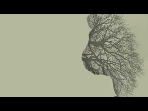 Brantevik - Burdened