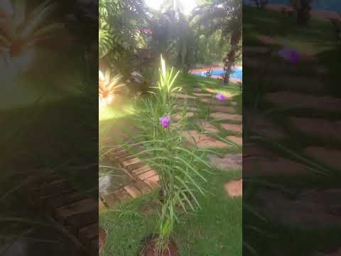 cidade de Lagoa Santa Minas Gerais Brasil