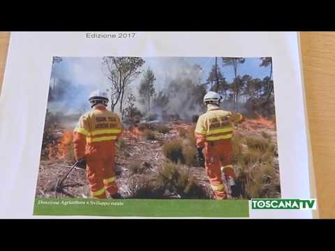 2017-07-21 TOSCANA - INCENDI, ROSSI, DICHIARATO STATO EMERGENZA