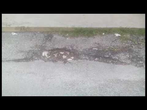 BUCHE E RADICI INGOMBRANTI PROTESTANO I RESIDENTI DI VIA PAPA GIOVANNI