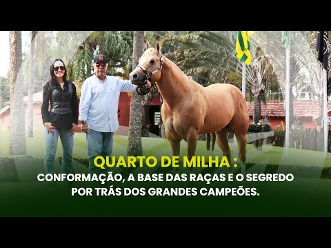 PRODUZ - EP. 33 | Quarter Horse: Conformation, the basis of the breed, the secret behind great ch...