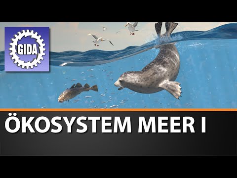 Trailer - Ökosystem Meer I - Biologie - Schulfilm