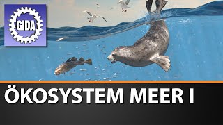 Trailer - Ökosystem Meer I - Biologie - Schulfilm