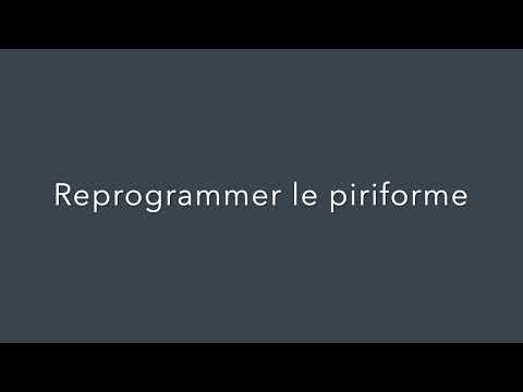 Comment reprogrammer le muscle piriforme/ pyramidal sans l'épuiser? Syndrome du piriforme